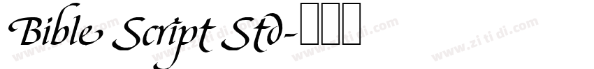 Bible Script Std字体转换